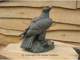 Steenarend