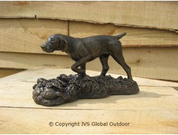 Hond