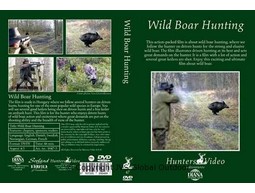 Wild boar Hunting