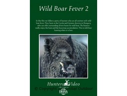 Wild boar fever 2