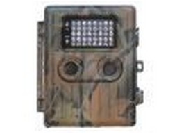 Wild camera 12MP