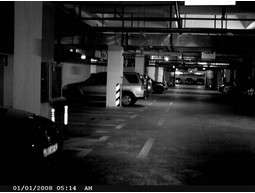 Wild camera 12MP