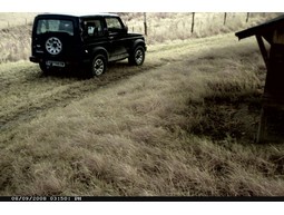 Wild camera 12MP