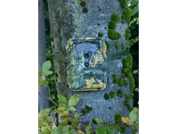 Wildcamera TRUTH Cam 46