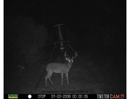 Wildcamera TRUTH Cam 46