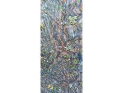 Camouflagenet 1,5x4 meter Mossy Oak
