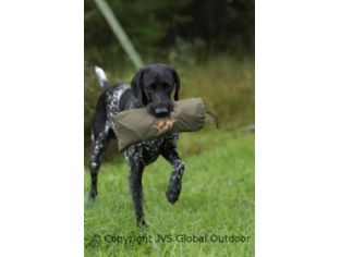  Blaser Dog Blanket (dark olive) 