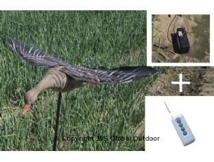 Elektrische vliegende lokgans met bewegende vleugels
