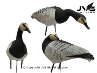 JVS Decoys brandgans full body (12 stk)