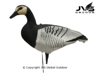 JVS Decoys brandgans full body (12 stk)