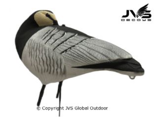 JVS Decoys brandgans full body (12 stk)