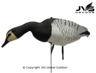 JVS Decoys brandgans full body (6 stk)