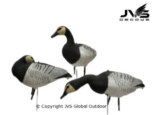 JVS Decoys brandgans full body (6 stk)