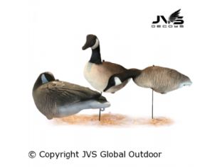 JVS Decoys Canada gans full body (12 stk)