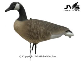 JVS Decoys Canada gans full body (12 stk)