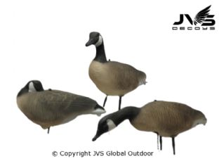 JVS Decoys Canada gans full body (6 stk)