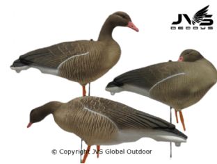 JVS Decoys grauwe gans full body (12 stk)