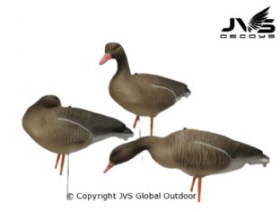 JVS Decoys grauwe gans full body (6 stk)