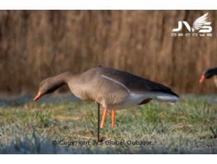 JVS Decoys grauwe gans full body (6 stk)