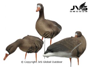 JVS Decoys Kolgans full body (12 stk)