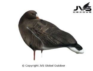 JVS Decoys Kolgans full body (6 stk)