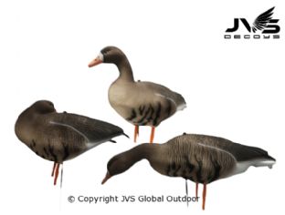 JVS Decoys Kolgans full body (6 stk)