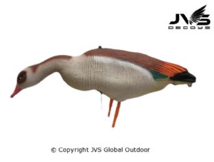 JVS Decoys Nijlgans full body (6 stk)