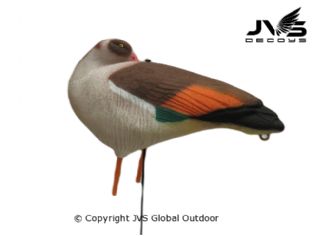 JVS Decoys Nijlgans full body (6 stk)