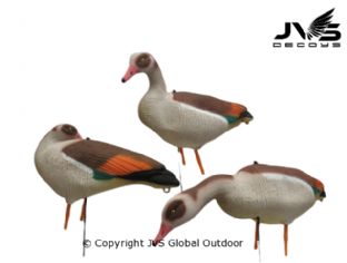 JVS Decoys Nijlgans full body (6 stk)