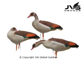 JVS Decoys Nijlgans full body (6 stk)