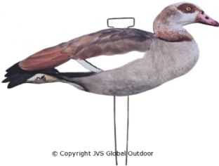 JVS Decoys Nijlgans