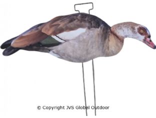JVS Decoys Nijlgans