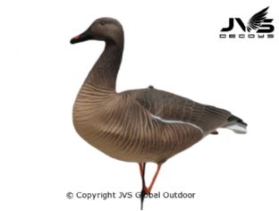 JVS Decoys Riet gans full body (12 stk)