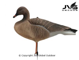 JVS Decoys Riet gans full body (6 stk)
