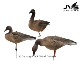 JVS Decoys Riet gans full body (6 stk)