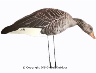 JVS Decoys Silhouet ganzen 24 stuks