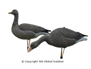 JVS Decoys Ultimate Grauwe Gans beflockt