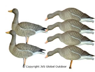 JVS Decoys Ultimate Grauwe Gans (6 stk)