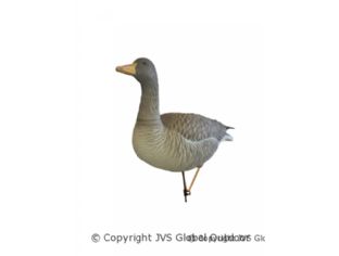 JVS Decoys Ultimate Grauwe Gans