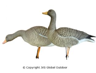 JVS Decoys Ultimate Grauwe Gans (6 stk)