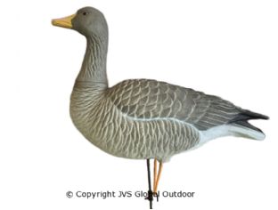 JVS Decoys Ultimate Grauwe Gans (6 stk)