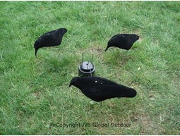 Kraaien/duiven carrousel klein zonder lokvogels