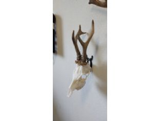 Trofeehouder voor reegewei (per 3 stk )