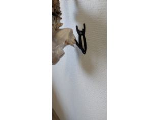 Trofeehouder voor reegewei (per 3 stk )