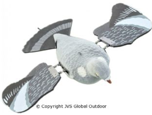 Vliegende duif met zwieper